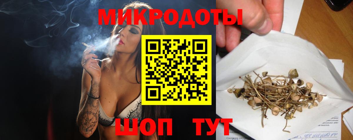 Артёмовский  Псилоцибиновые грибы Psilocybe  Вход с VPN 